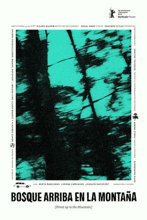 Bosque arriba en la montaña Bosque arriba en la montaña