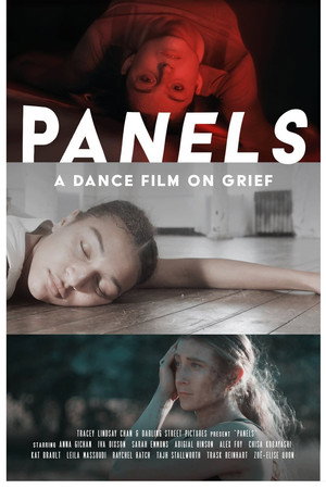 Panels poster