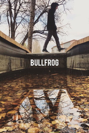 Bullfrog poster