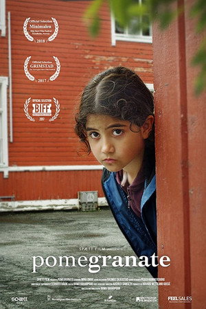 Pomegranate poster