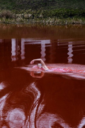 Swimming Through Swimming Through