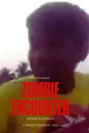 Poster of Zombie Encounter