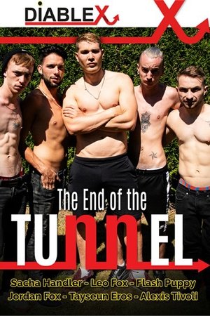 At the End of the Tunnel