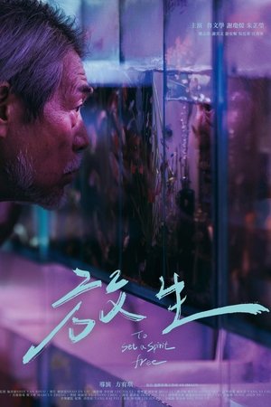 To Set a Spirit Free