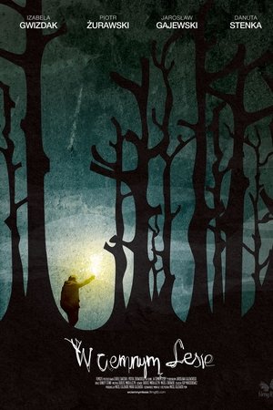 Into the Dark Woods