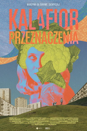 Kalafior przeznaczenia