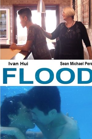 Flood