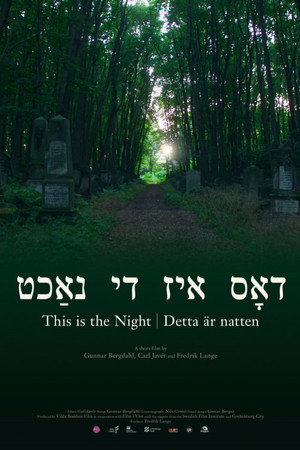 This Is the Night poster