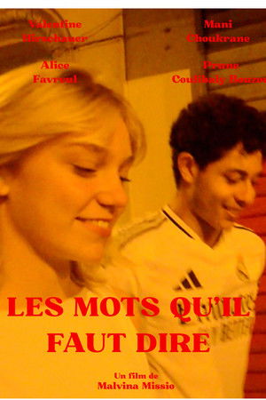 Les mots qu'il faut dire