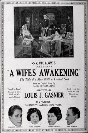 A Wife's Awakening