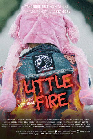 Little Fire poster