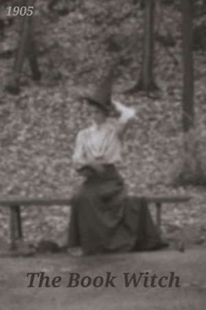 The Book Witch (1905) Silent Film poster