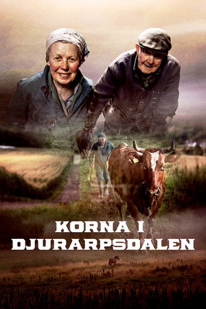 Korna i Djurarpsdalen poster