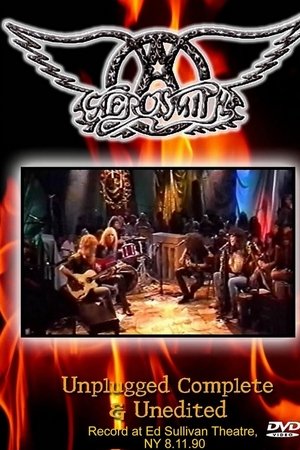 Aerosmith: MTV Unplugged