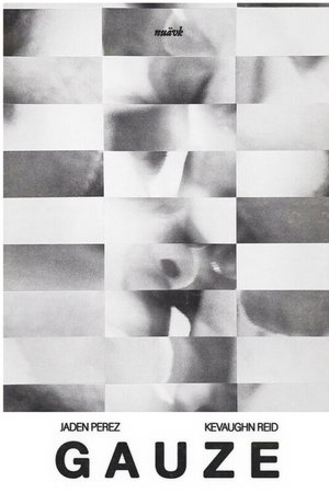 Gauze