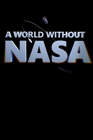 A World Without NASA