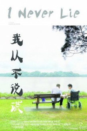 I Never Lie poster
