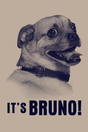 It's Bruno!