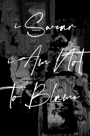 I Swear I Am Not To Blame poster