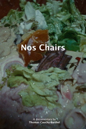 Nos chairs poster