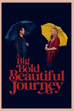 A Big Bold Beautiful Journey