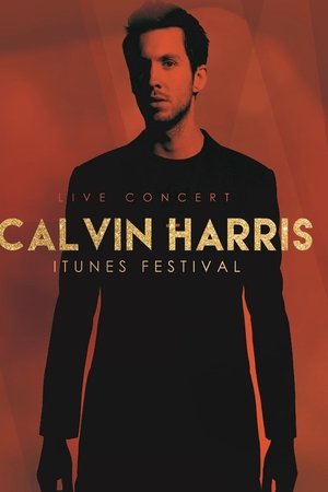 Calvin Harris - Live at iTunes Festival 2012