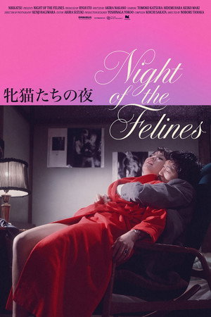 Night of the Felines
