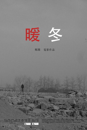 The Cold Winter poster