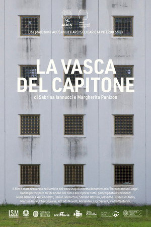 La vasca del Capitone poster