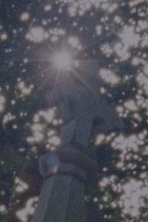 Sacred To The Memory Of poster