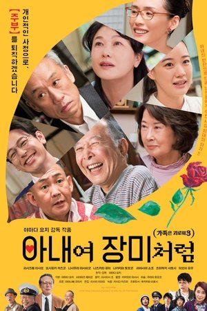 가족은 괴로워 3: 아내여 장미처럼
