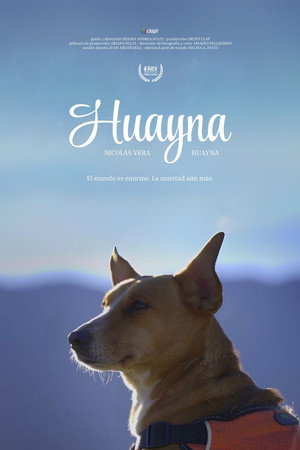 Huayna poster