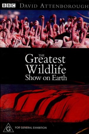 The Greatest Wildlife Show on Earth