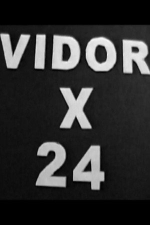Vidor x 24 Vidor x 24