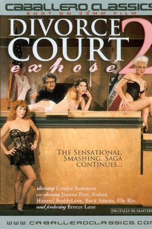 Divorce Court Expose 2