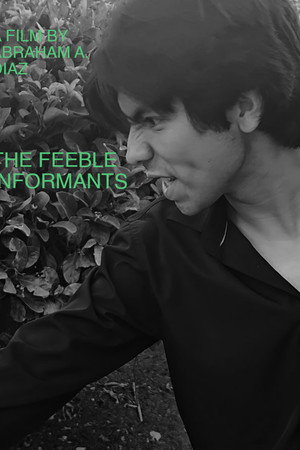 The Feeble Informants The Feeble Informants