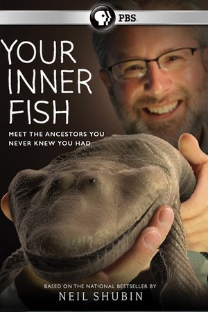 Your Inner Fish