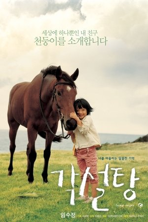 각설탕