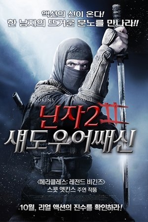 닌자 2: 섀도우 어쌔신