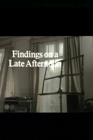 Findings on a Late Afternoon