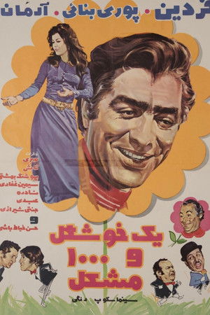 One Beautiful and 1000 Problems