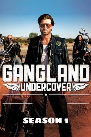 Gangland Undercover saison 1