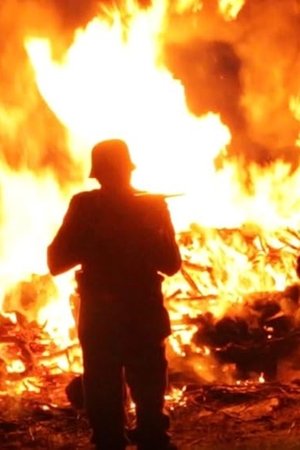 Talons of the Phoenix