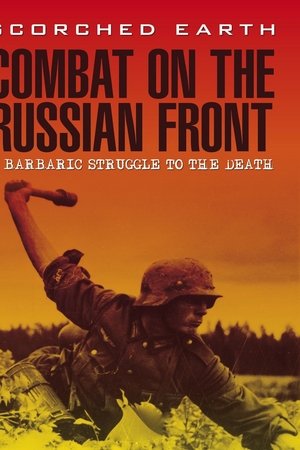 Poster of Weapons of War: Combat on the Russian Front