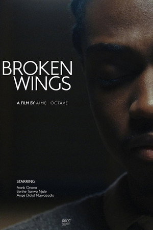 Broken Wings Broken Wings