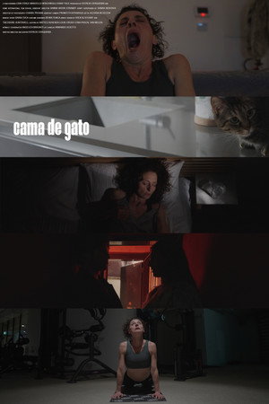 Cat's Cradle poster