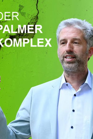 Der Palmer Komplex poster