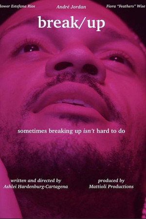 Break/Up poster