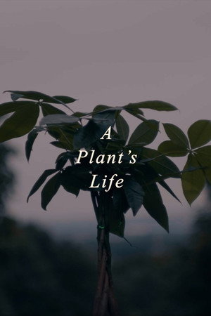 A Plant's Life poster