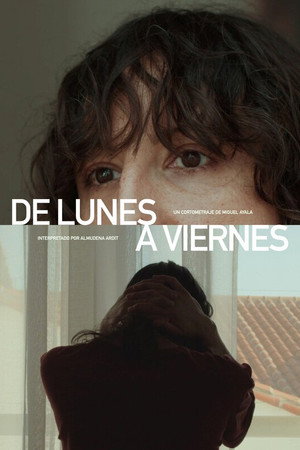 Monday to Friday poster